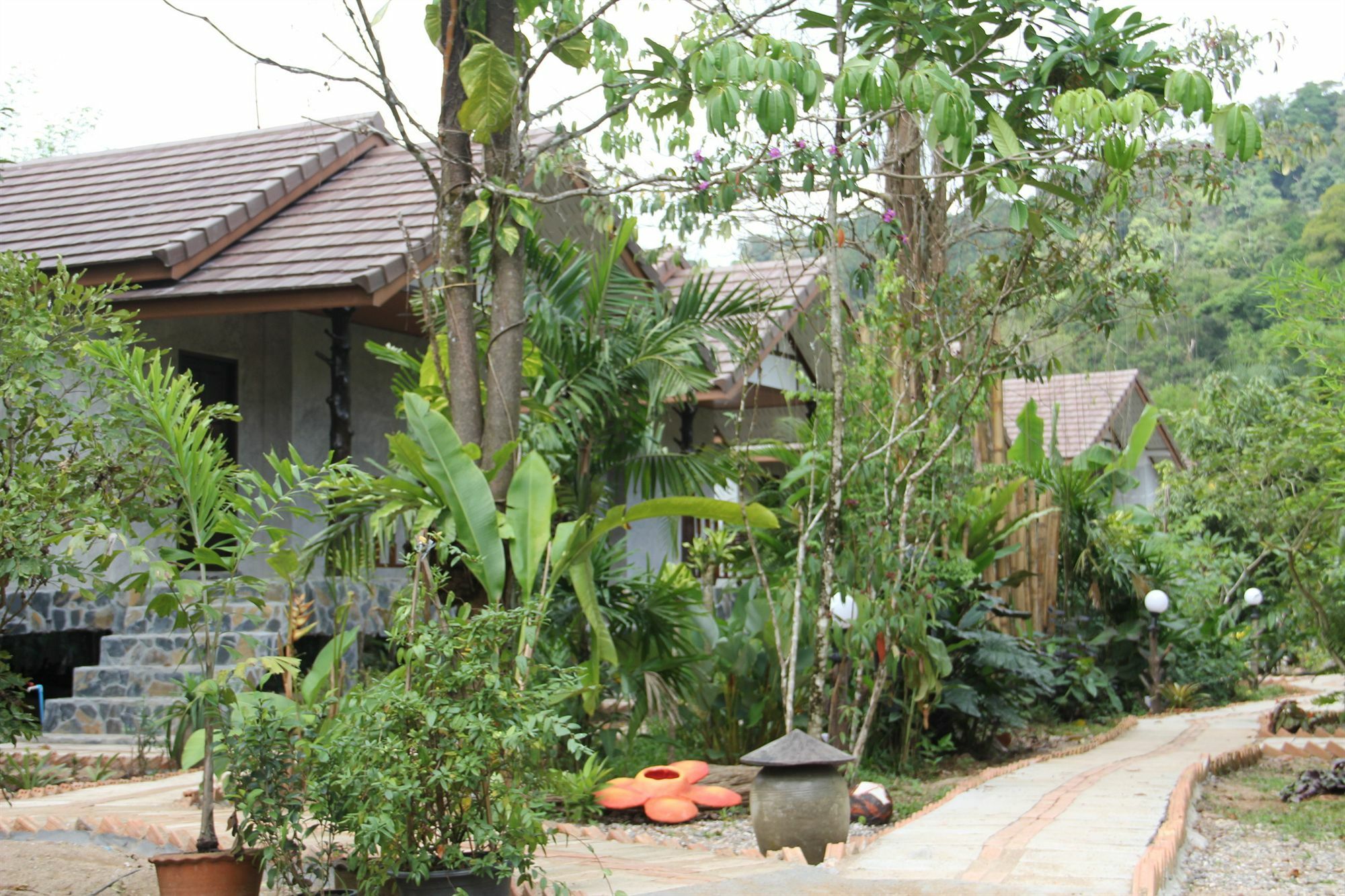 Khao Sok Green Valley Resort - Sha Certified Khao Sok National Park Exteriör bild